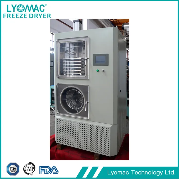 GMP সম্মতি: Lyomac's Global Pharma Trust এর Unshakable Foundation