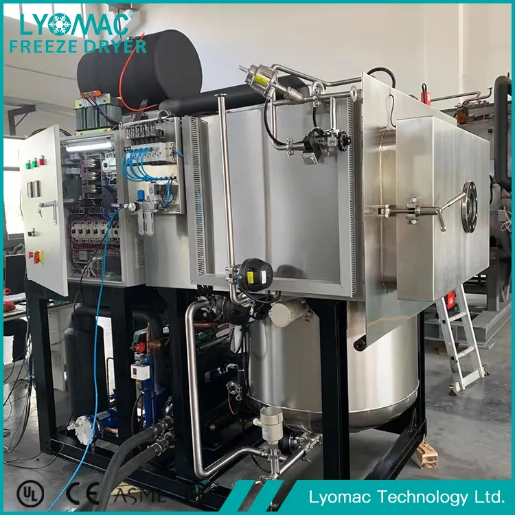Lyomac এর হাইড্রোলিক এবং বায়ুসংক্রান্ত সিস্টেম: নির্ভরযোগ্য ফ্রিজ শুকানোর যান্ত্রিক মূল